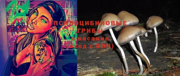 Альфа ПВП Армянск