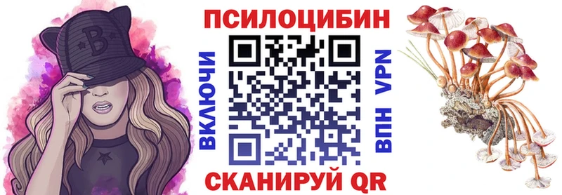 купить наркотик  Гаврилов-Ям  Галлюциногенные грибы прущие грибы 